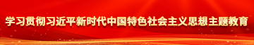 男生的鸡鸡插入女生穴的视频学习贯彻习近平新时代中国特色社会主义思想主题教育